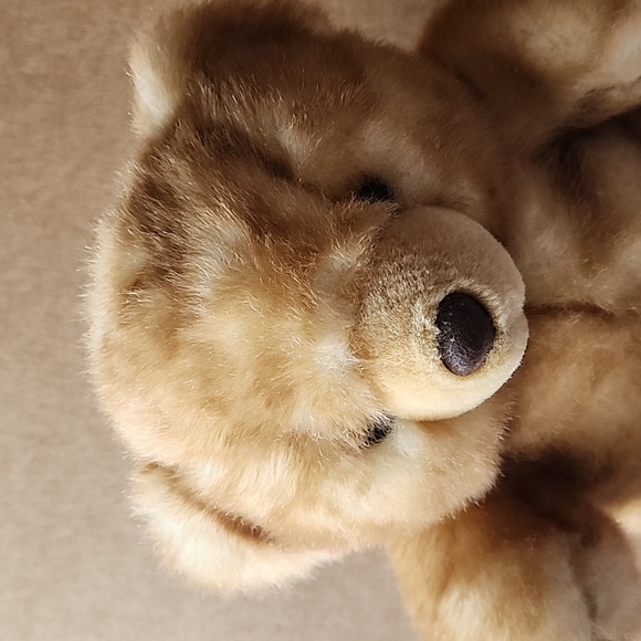 Main Joy Limited, super soft Teddy Bear. - Picture 2 of 8